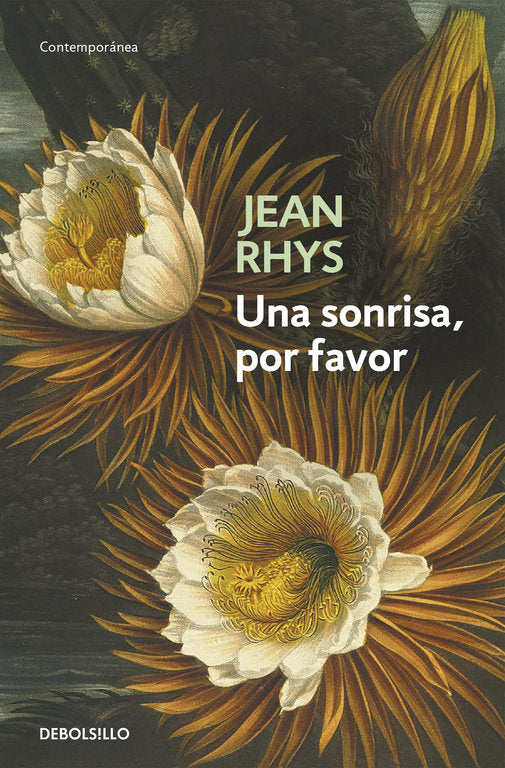 Una sonrisa, por favor, de Rhys, Jean | portada del libro