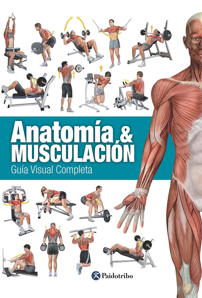 Anatomía & Musculación. Guía visual completa (Color), de Cánovas Linares, Ricardo | portada del libro