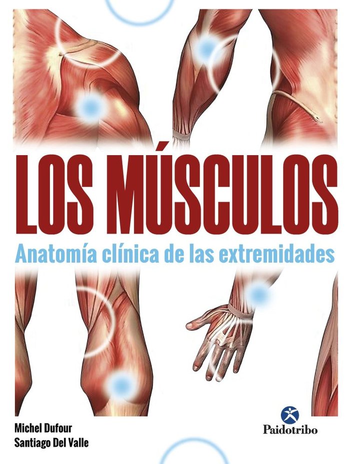 Músculos, Los. Anatomía clínica de las extremidades, de Dufour, Michel | portada del libro