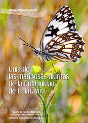 Las mariposas diurnas de la comunidad de Calatayud, de Corraleño Iñarra | portada del libro