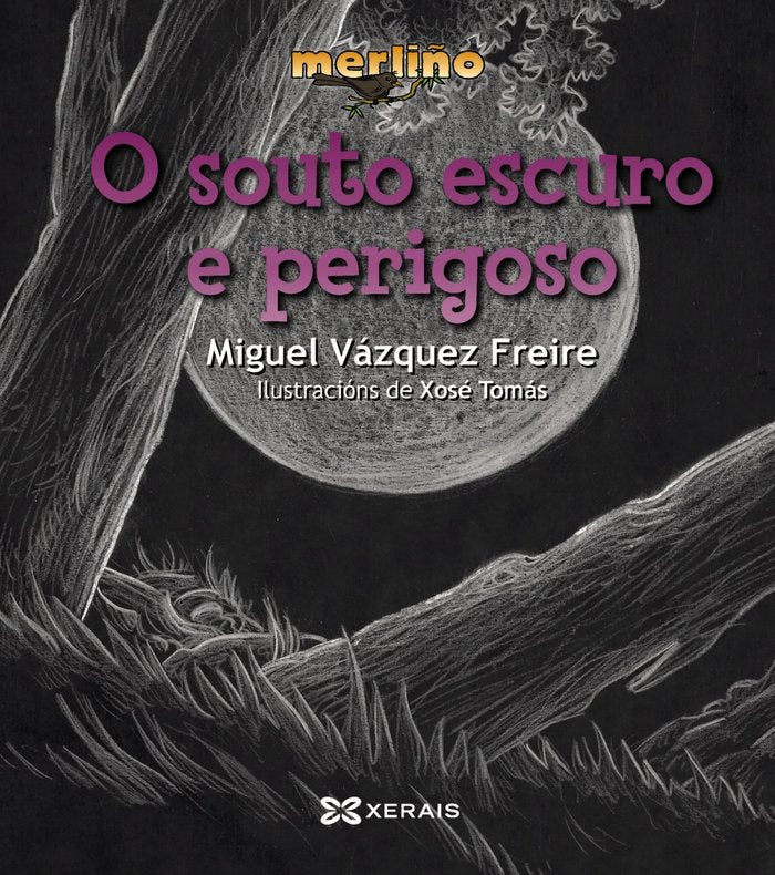 O souto escuro e perigoso, de Vázquez Freire, Miguel | portada del libro