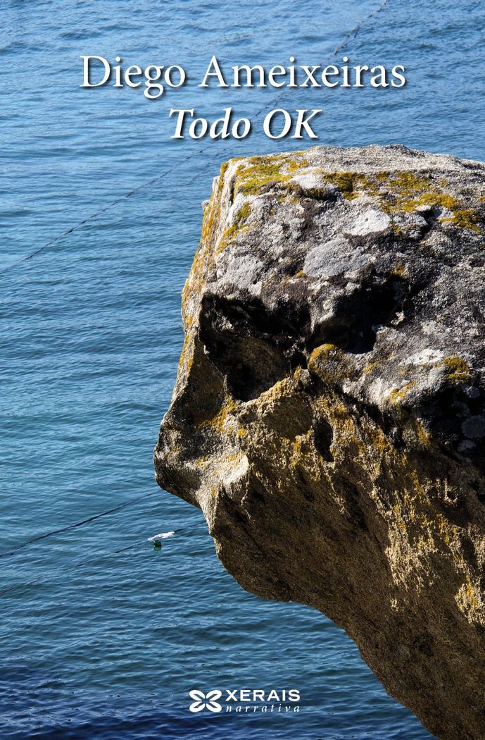 Todo OK, de Ameixeiras, Diego | portada del libro