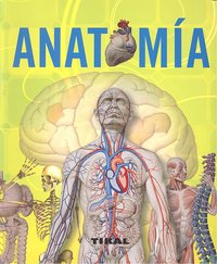 Anatomía, de Rigutti, Adriana | portada del libro