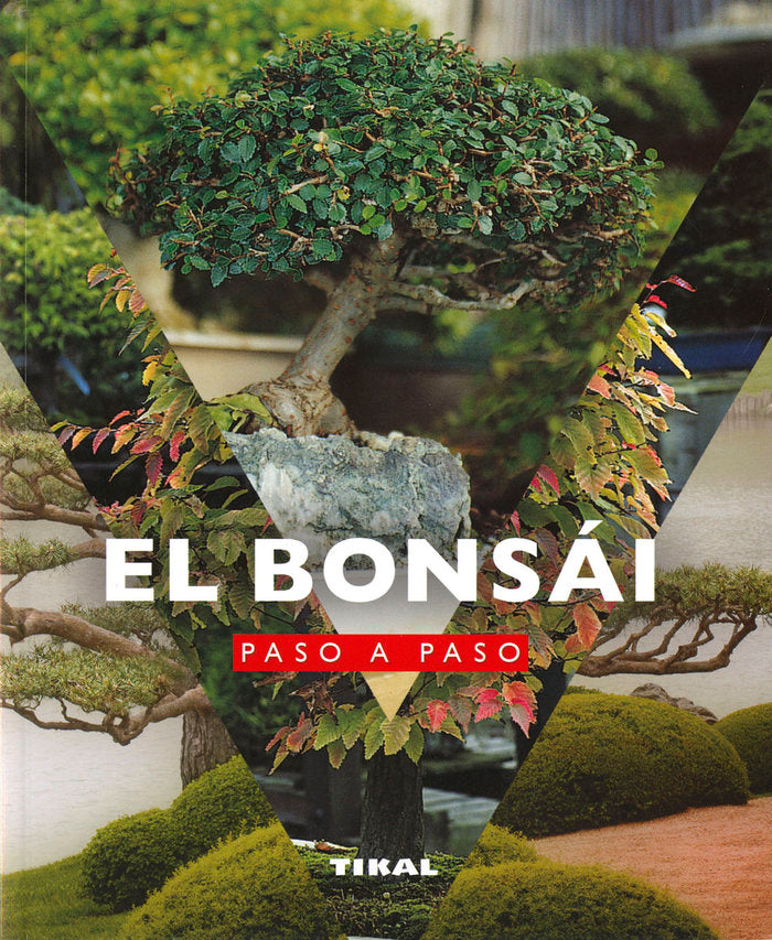 EL BONSAI PASO A PASO, de GRANDJEAN, BENOIT | portada del libro