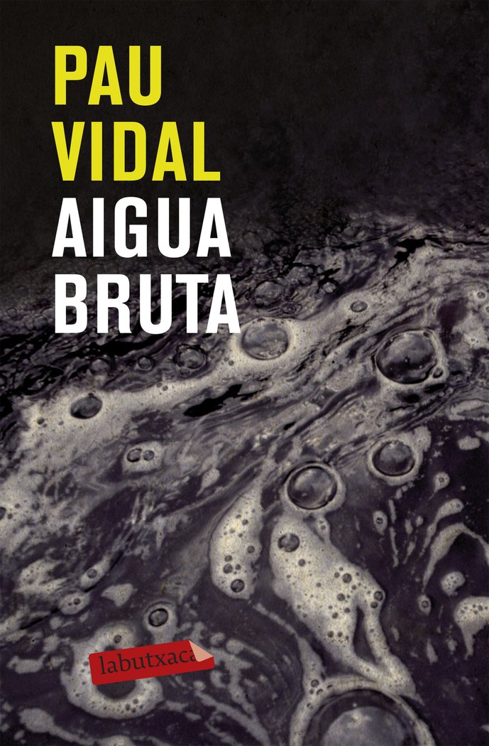 Aigua bruta, de Vidal Gavilan, Pau | portada del libro
