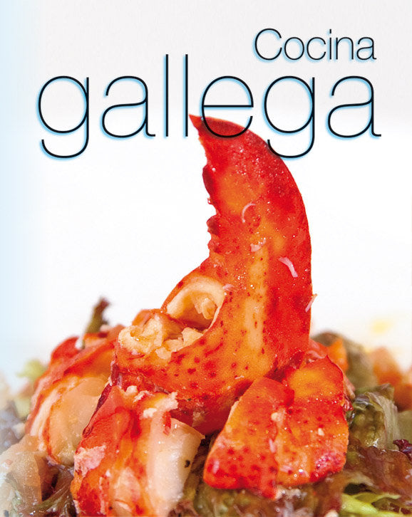 COCINA CREATIVA - COCINA GALLEGA, de SÁNCHEZ ENCINAL | portada del libro