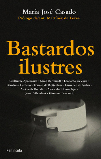 Bastardos ilustres, de MARIA JOSE CASADO RUIZ | portada del libro
