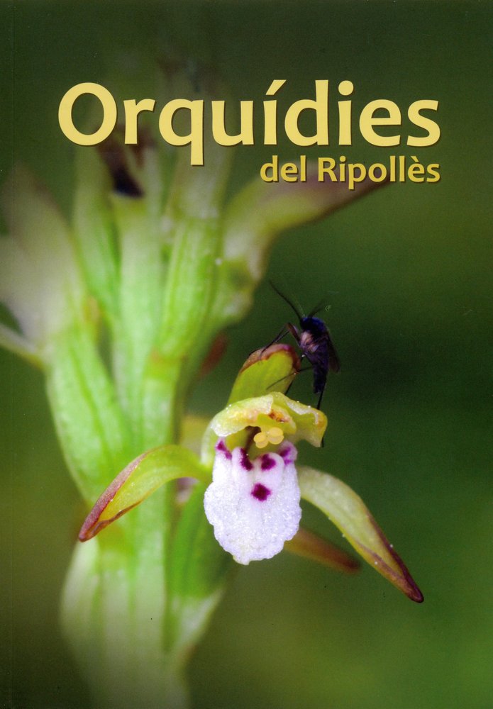 Orquídies del Ripollès, de Canals Taron, Joan | portada del libro