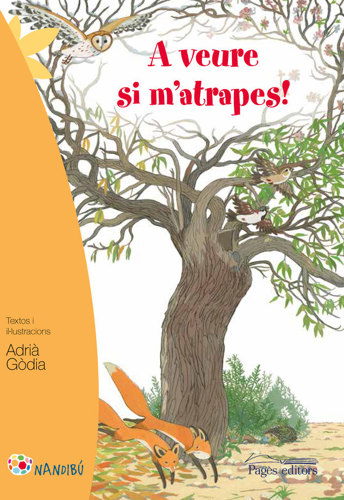 A veure si m'atrapes!, de Gòdia Moragues, Adrià | portada del libro