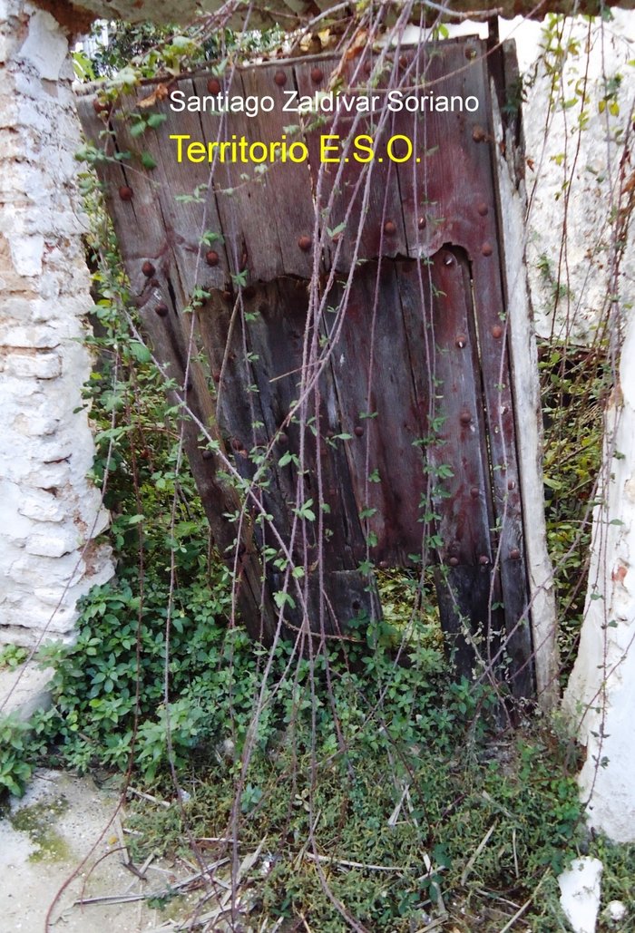 Territorio E.S.O., de Soriano Zaldívar, Santiago | portada del libro