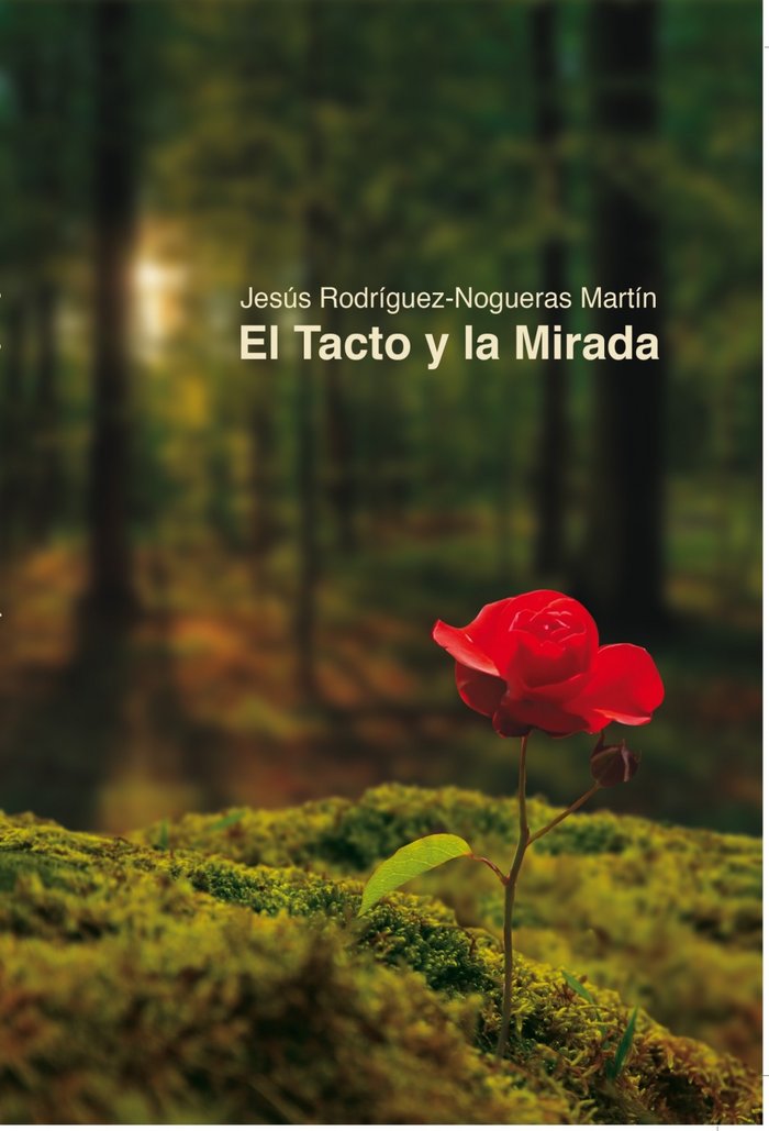 El tacto y la mirada, de Martin Rodríguez-Nogueras, Jesus | portada del libro