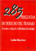 285 preguntas de derecho del trabajo, de Blasco Jover, Carolina | portada del libro