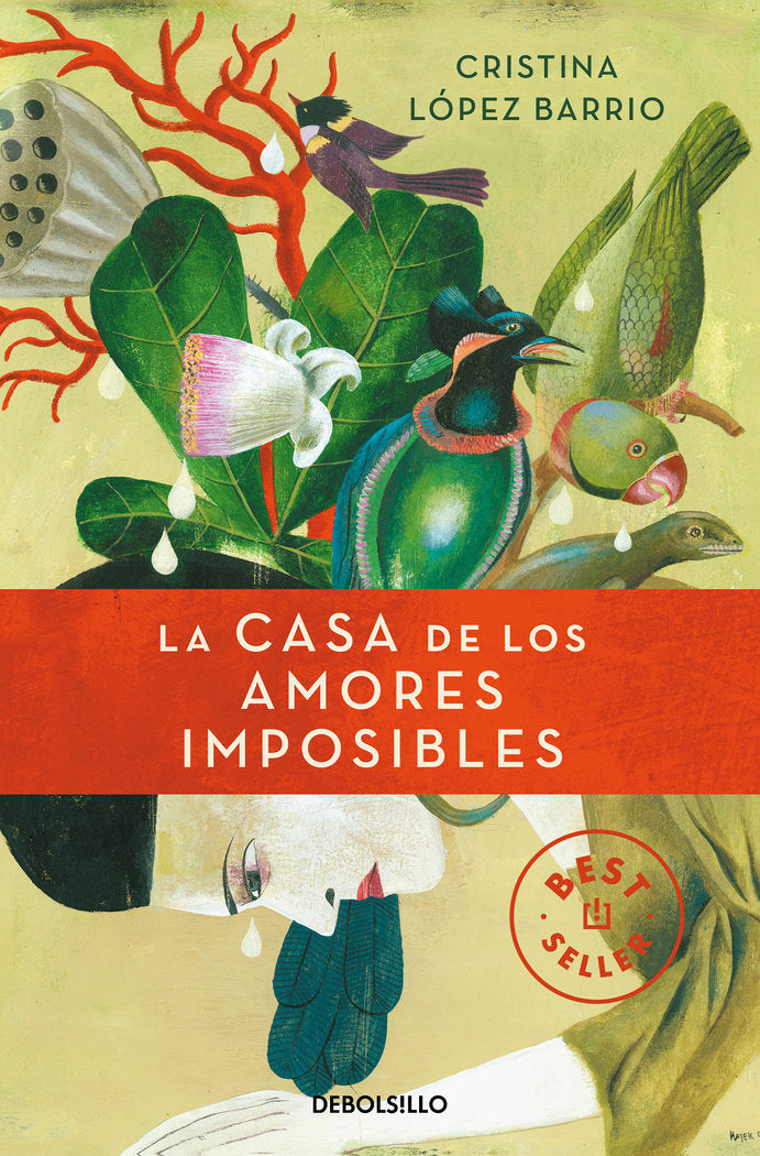 La casa de los amores imposibles, de López Barrio, Cristina | portada del libro
