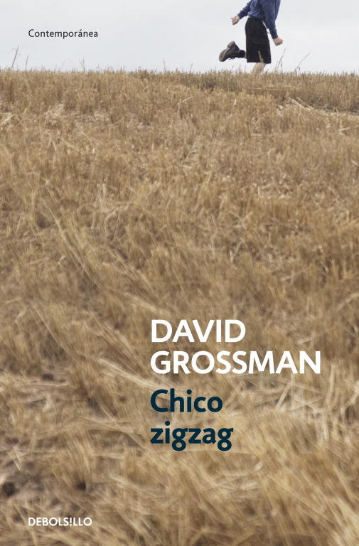 Chico zigzag, de Grossman, David | portada del libro