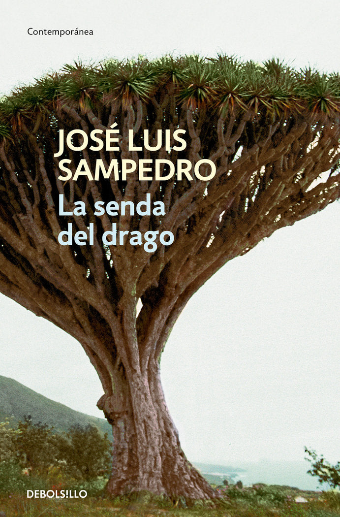 La senda del drago, de Sampedro, José Luis | portada del libro