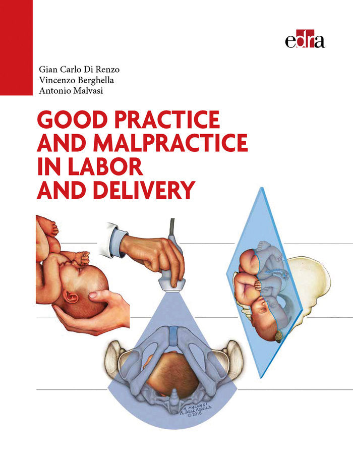 Good Practice and Malpractice in Labor and Delivery, de Di Renzo, Gian Carlo | portada del libro
