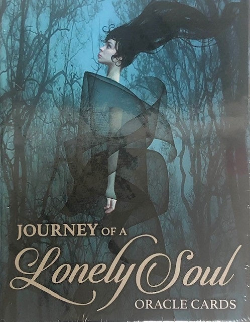 Journey of a Lonely Soul, de Anna | portada del libro