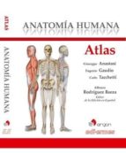 ATLAS ANATOMIA HUMANA, de GIUSEPPE ANASTASI | portada del libro