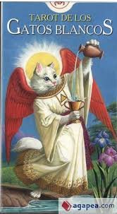GATOS BLANCOS | portada del libro
