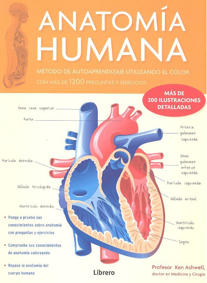 ANATOMIA HUMANA, de ASHWELL, PROFESOR KEN | portada del libro