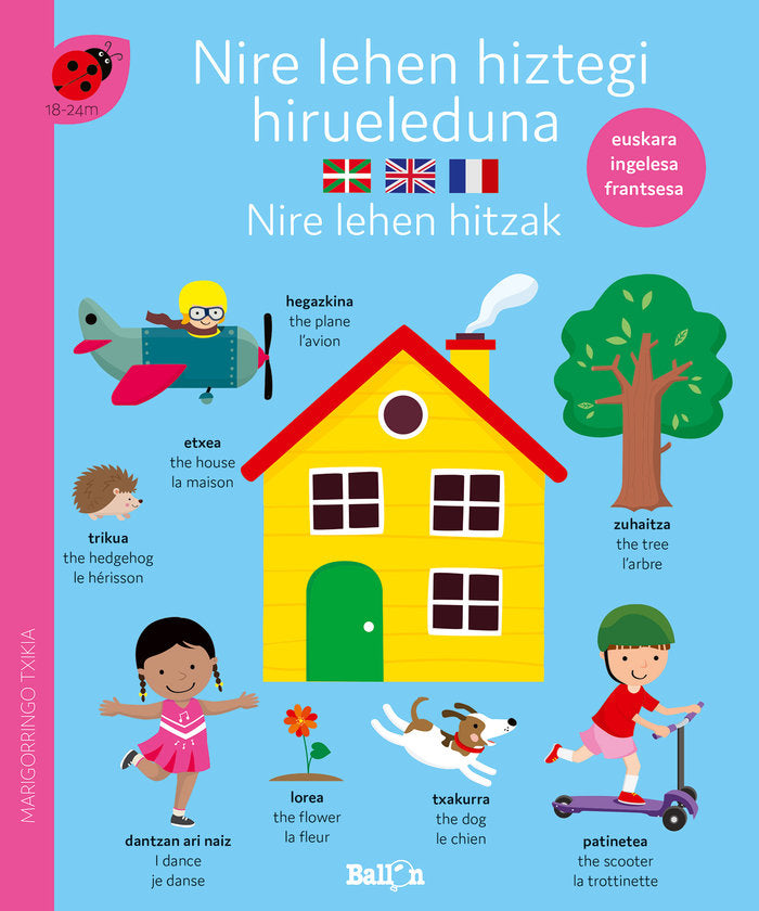 NIRE LEHEN HIZTEGI HIRUELEDUNA-HITZAK, de AA.VV. | portada del libro