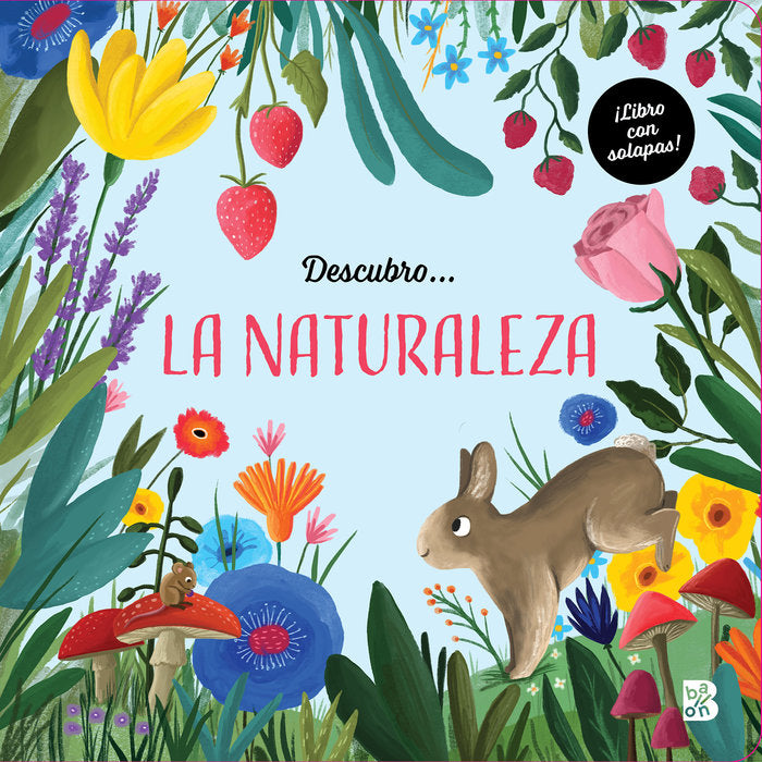 DESCUBRO LA NATURALEZA, de BALLON | portada del libro