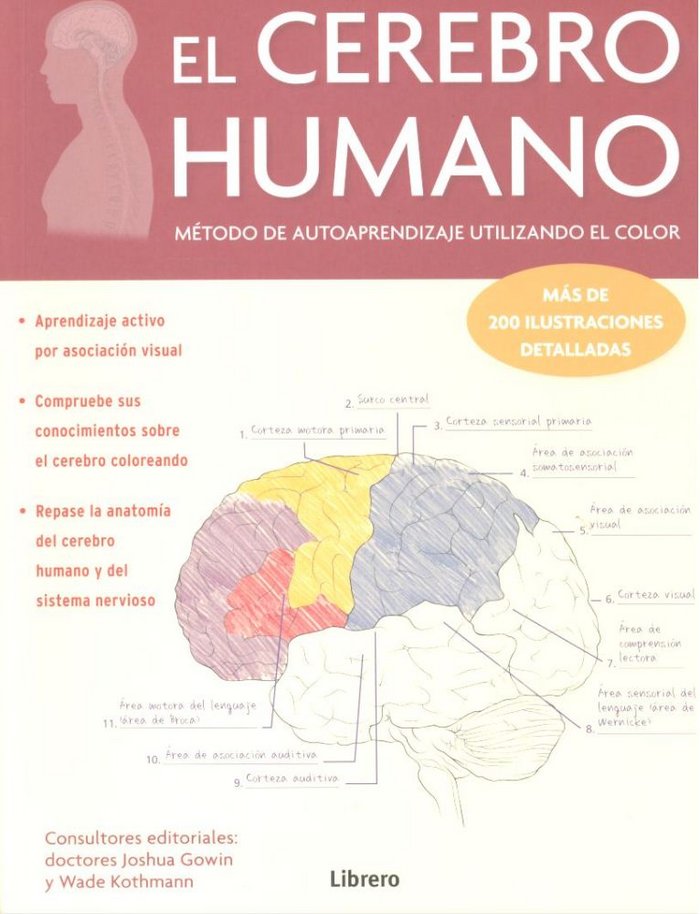 CEREBRO HUMANO, EL, de DR. JOSHUA GOWIN | portada del libro