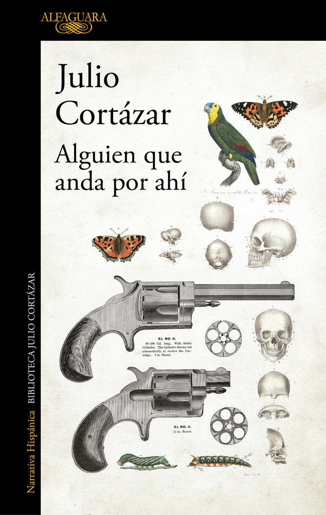 Alguien que anda por ahí, de Cortázar, Julio | portada del libro