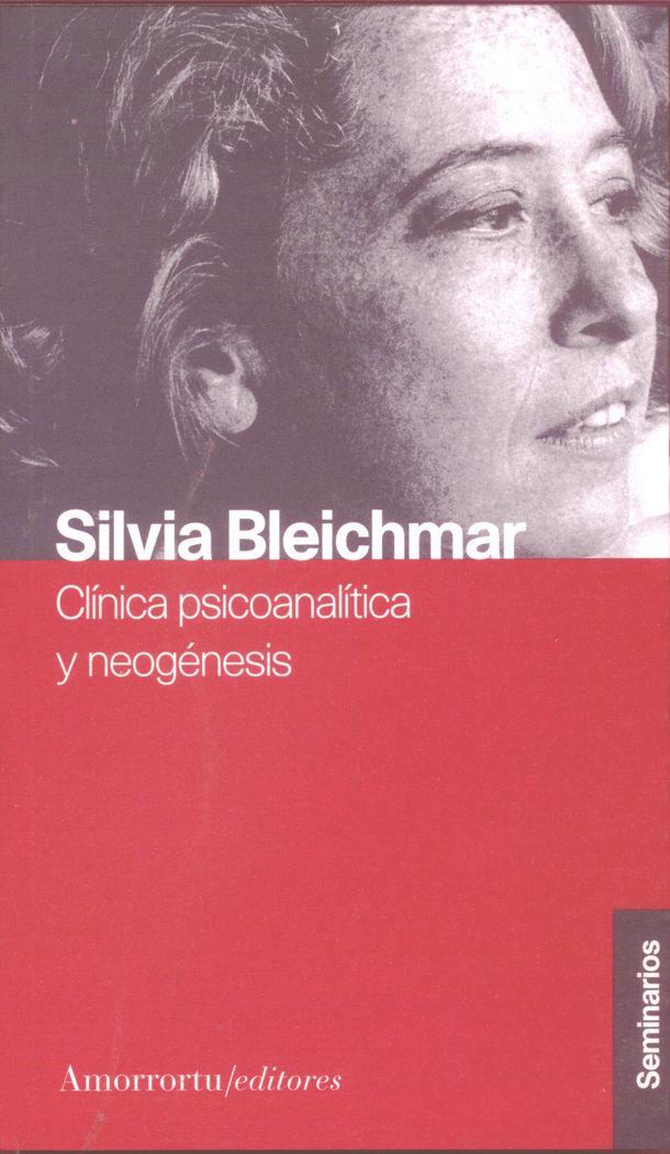 CLINICA PSICOANALITICA Y NEOGENESIS, de Bleichmar | portada del libro