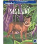 SAGUAIRU, de JULIO EMILIO BRAZ | portada del libro