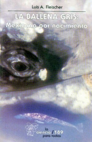 BALLENA GRIS: MEXICANA POR NACIMIENTO, LA, de A. FLEISCHER, LUIS | portada del libro