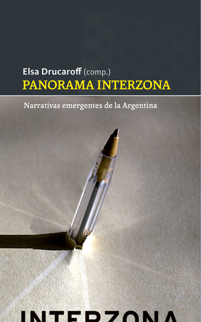 Panorama interzona | portada del libro