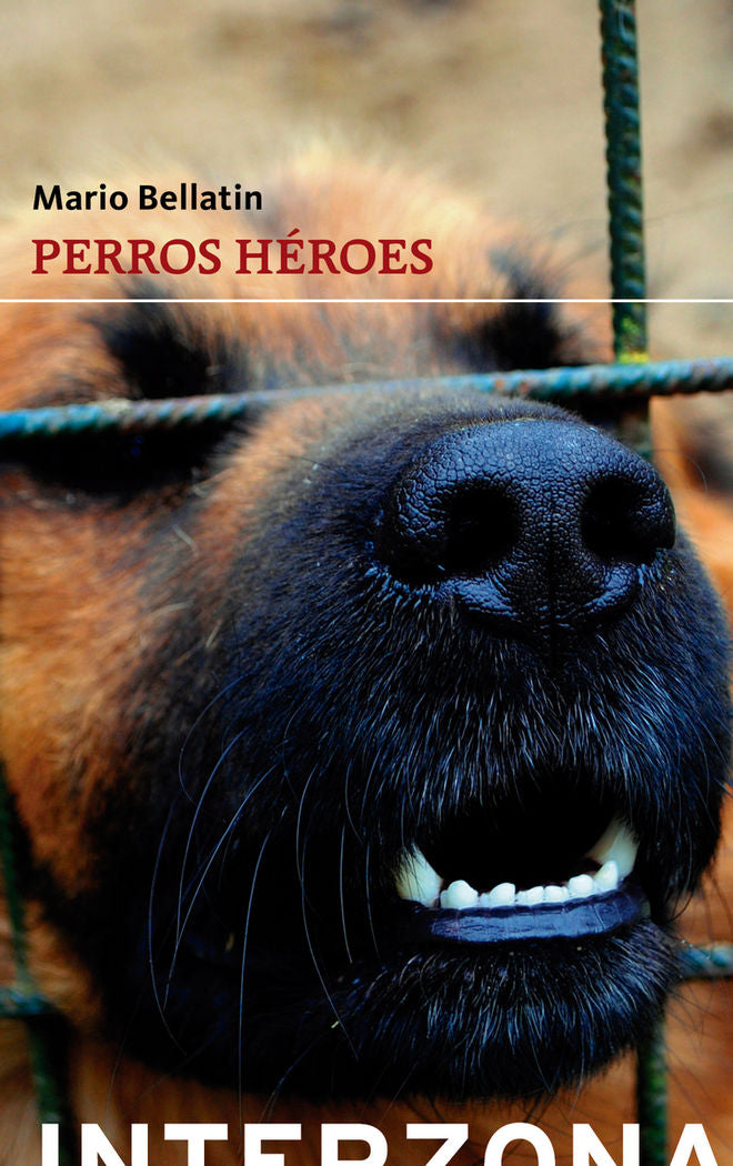 PERROS HEROES, de BELLATIN,MARIO | portada del libro