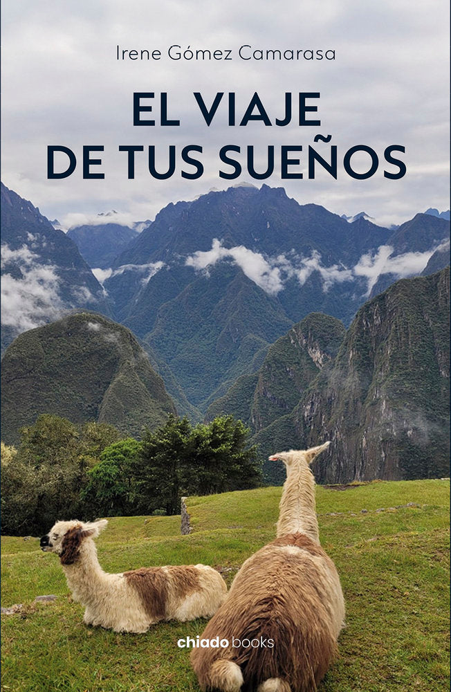 El viaje de tus sueños, de Irene Gomez Camarasa | portada del libro