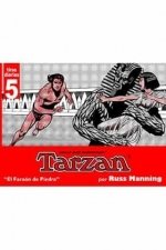 TARZAN: TIRAS DIARIAS 05, de MANNING, RUSS | portada del libro