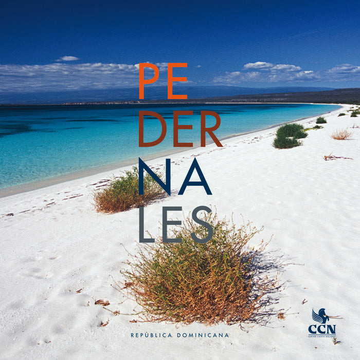 PEDERNALES, de AA . VV. | portada del libro