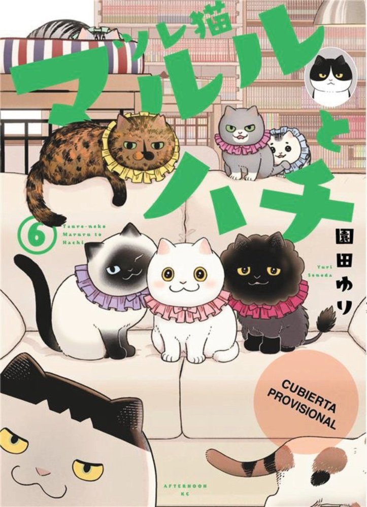 Los amigatos Hachi y Maruru, 6, de SONODA, YURI | portada del libro
