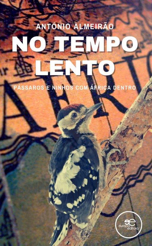 NO TEMPO LENTO, de OLIVEIRA ALMEIRÇO, ANTONIO | portada del libro