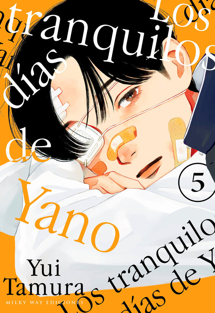 LOS TRANQUILOS DÍAS DE YANO 5, de Tamura, Yui | portada del libro