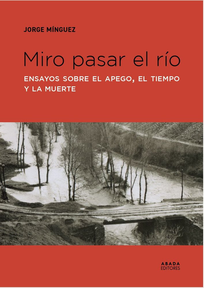 MIRO PASAR EL RIO, de MINGUEZ, JORGE | portada del libro