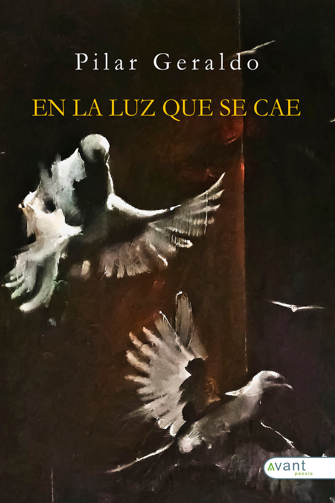 EN LA LUZ QUE SE CAE, de Geraldo Denia, Pilar | portada del libro