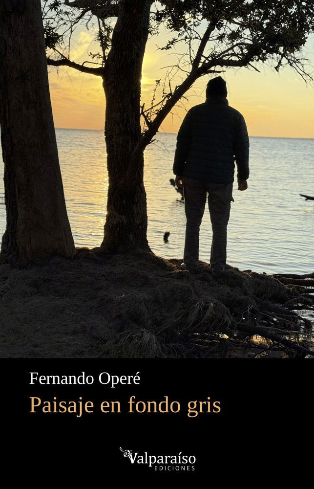 Paisaje en fondo gris, de OPERE,FERNANDO | portada del libro