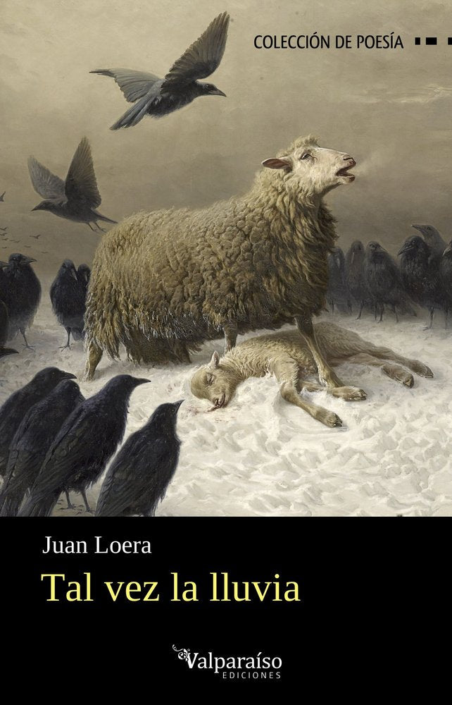Tal vez la lluvia, de LOERA,JUAN | portada del libro