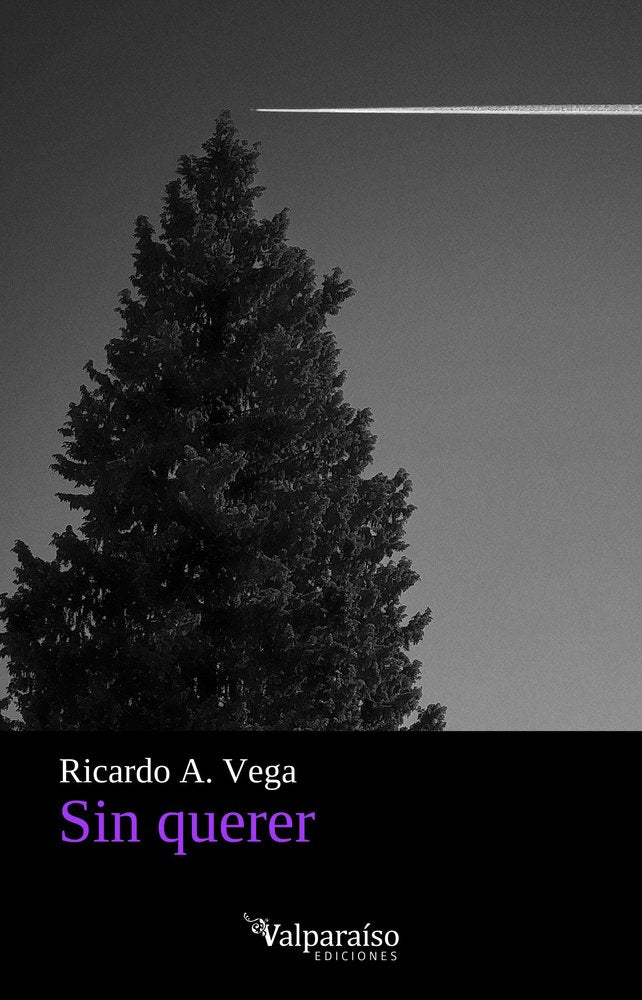 SIN QUERER, de VEGA,RICARDO A | portada del libro