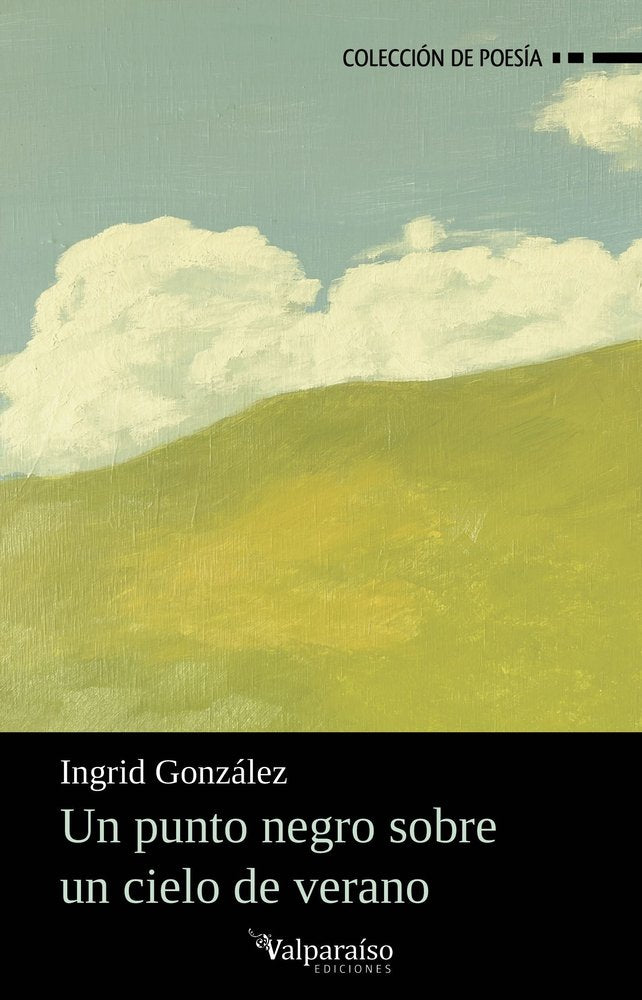 UN PUNTO NEGRO SOBRE UN CIELO DE VERANO, de GONZALEZ,INGRID | portada del libro