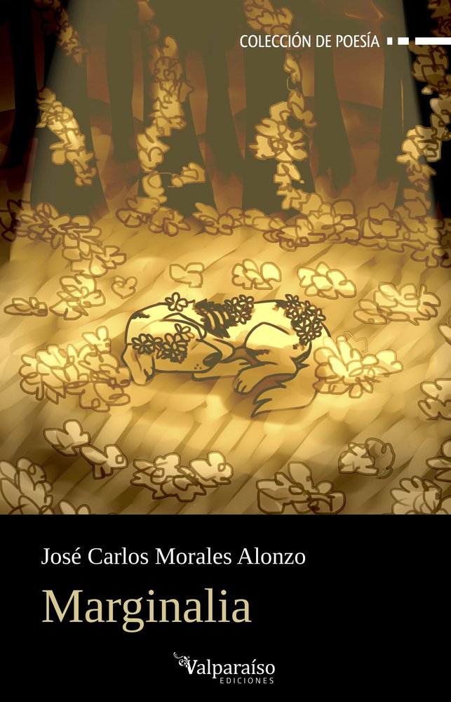 MARGINALIA, de MORALES ALONZO,JOSE CARLOS | portada del libro
