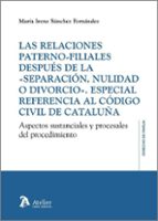 LAS RELACIONES PATERNO FILIALES DESPUES DE LA SEPARACION, de MARIA IRENE SANCHEZ FERNANDEZ | portada del libro