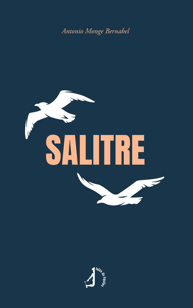 Salitre, de , Monge Bernabel, Antonio | portada del libro