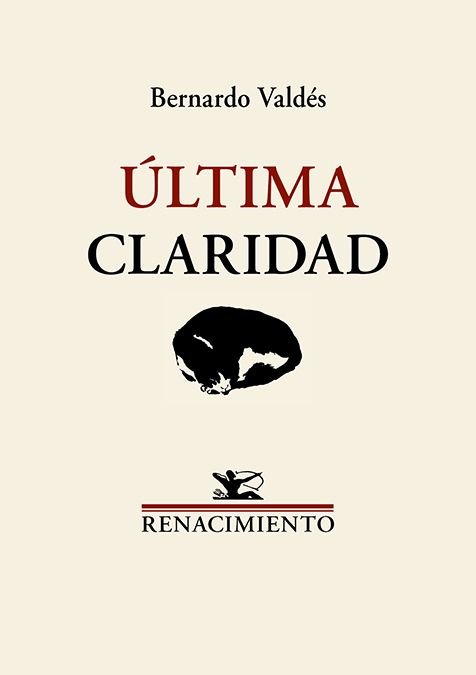 ULTIMA CLARIDAD, de VALDES, BERNARDO | portada del libro