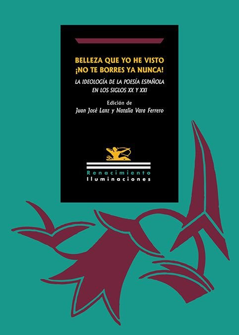 BELLEZA QUE YO HE VISTO ¡NO TE BORRES YA NUNCA!, de LANZ,JUAN JOSE | portada del libro